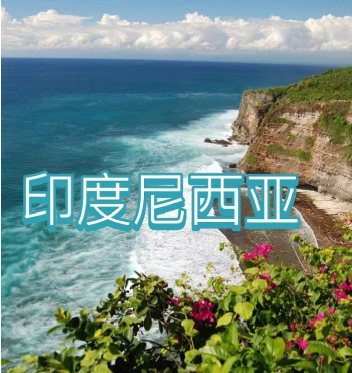 际电商(印尼)产业博览会冰球突破2025中国国(图1) 际电商(印尼)产业博览会冰球突破2025中国国(图1)